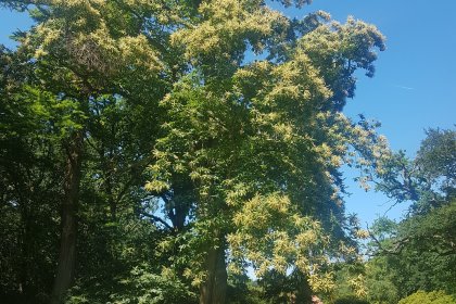 Wasserschloss Lütetsburg 