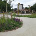 Parking Plantentuin Meise juni 2025 (7)