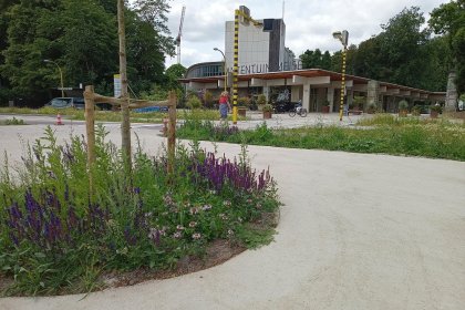 Parkplatz Botanischer Garten Meise Juni 2025