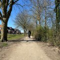 wassergebundene wegedecke KoMex Bio naturell