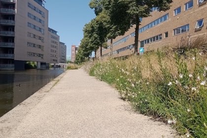 KoMex BIO Naturel Koggelaan 2