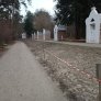 KoMex® BIO naturel Fünfzehn Kapellekens in Mol