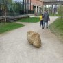 KoMex® Naturel à Beringen