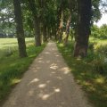 KoMex® geel Herzebrock-Clarholz