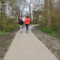 Sentiers forestiers KoTRec BIO Zwettebos à Sneek