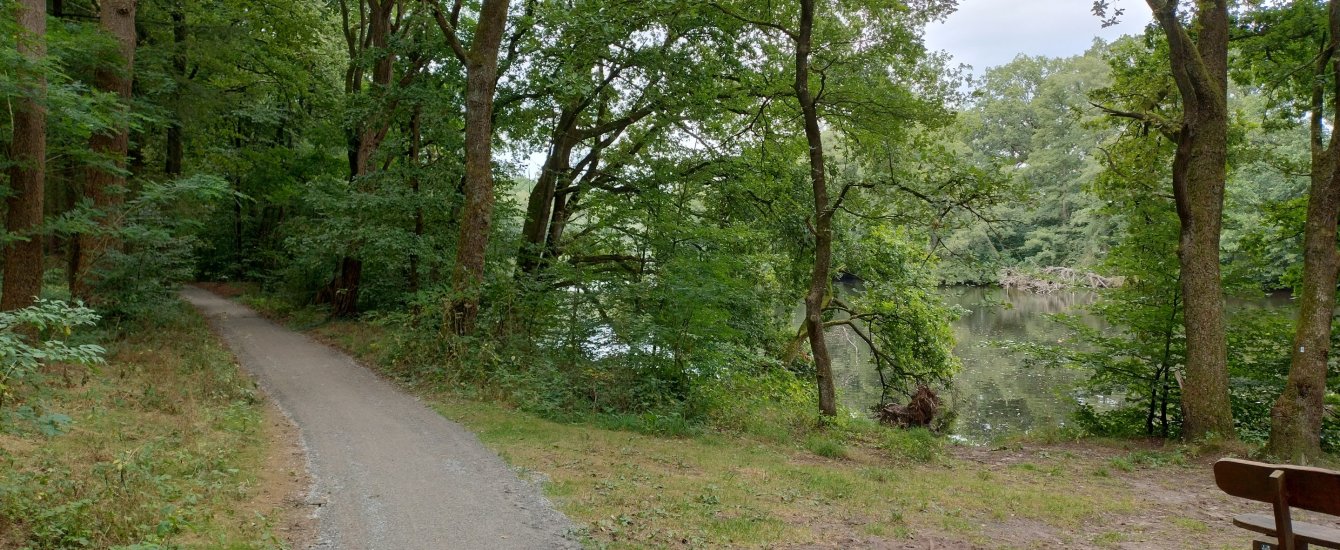 DurEko-mix® im Esterfelder Forst