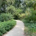 Zavelput Waregem KoMex BIO naturel (6)