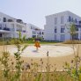 KoMex® geel in Laer