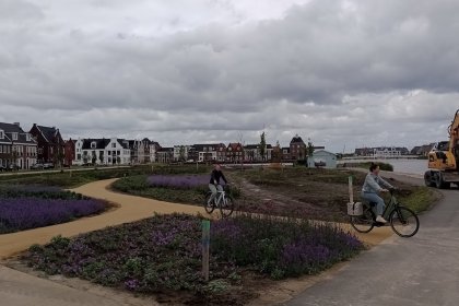 KoMex Jaune, facteur fédérateur à Weespersluis