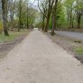 wege-und-flachen munster wassergebundene wegedecke