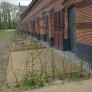 wassergebundene wegedecke vor historischen Gebäuden