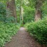 natuurlijke halfverharding