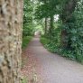 Sentier forestier DurEko-mix dans le parc Bürgermeister Bühner à Issum Sevelen