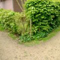 revêtement semi-dur naturel