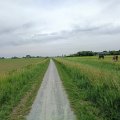 halfverharding onderwierum