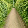 natürliche wassergebundene wegedecke
