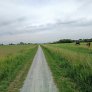 Neuer Wanderweg zum ehemaligen Friedhof von Onderwierum mit DurEko-Mix
