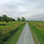 Neuer Wanderweg zum ehemaligen Friedhof von Onderwierum mit DurEko-Mix