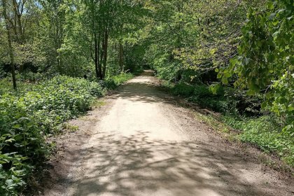 La forêt de Westerveld à Zwolle bénéficie d'un coup de pouce en matière de développement durable grâce aux sentiers de randonnée et pistes cyclables KoMex BIO Naturel