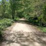 La forêt de Westerveld à Zwolle bénéficie d'un coup de pouce en matière de développement durable grâce aux sentiers de randonnée et pistes cyclables KoMex BIO Naturel