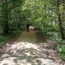 La forêt de Westerveld à Zwolle bénéficie d'un coup de pouce en matière de développement durable grâce aux sentiers de randonnée et pistes cyclables KoMex BIO Naturel