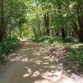 La forêt de Westerveld à Zwolle bénéficie d'un coup de pouce en matière de développement durable grâce aux sentiers de randonnée et pistes cyclables KoMex BIO Naturel