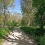 La forêt de Westerveld à Zwolle bénéficie d'un coup de pouce en matière de développement durable grâce aux sentiers de randonnée et pistes cyclables KoMex BIO Naturel